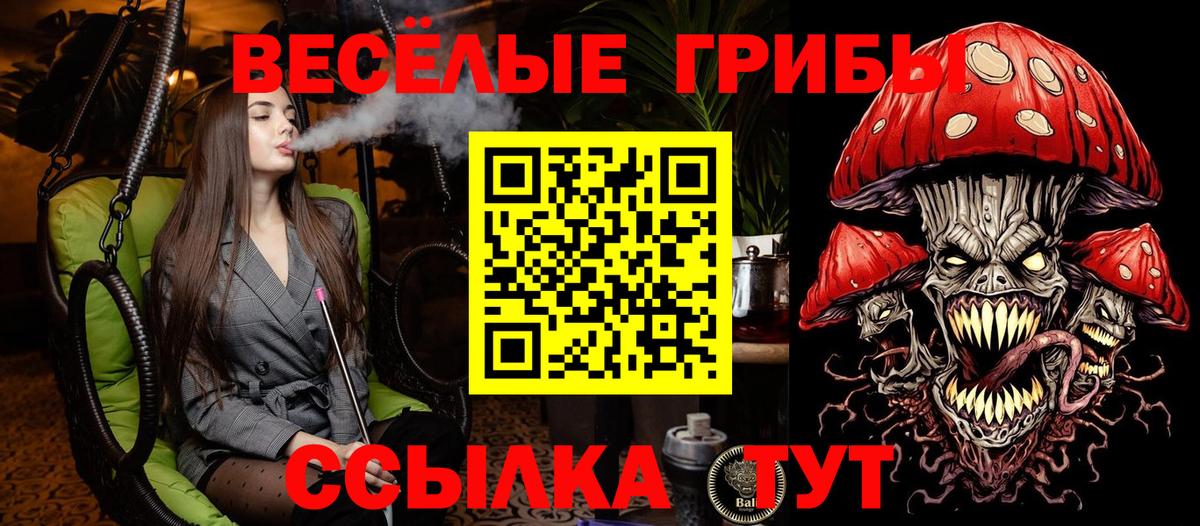 Псилоцибиновые грибы Magic Shrooms Мичуринск